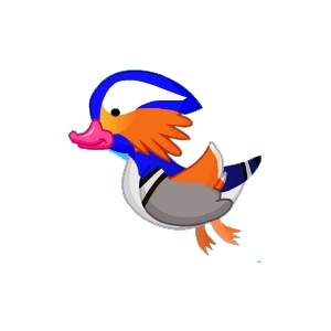 Blue Mandarin Duck